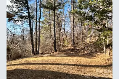 45 Marshbanks Ridge, Weaverville, NC 28787 - Photo 4