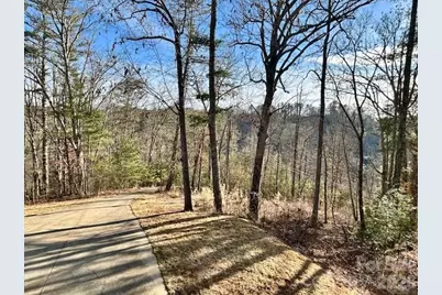 45 Marshbanks Ridge, Weaverville, NC 28787 - Photo 10