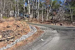 224 Riddle Rd, Swannanoa, NC 28778 - Photo 12