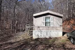 224 Riddle Rd, Swannanoa, NC 28778 - Photo 4