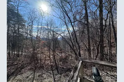 224 Riddle Road, Swannanoa, NC 28778 - Photo 4