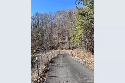 224 Riddle Road, Swannanoa, NC 28778 - Photo 12