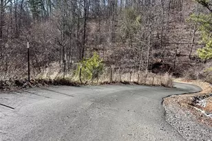 224 Riddle Rd, Swannanoa, NC 28778 - Photo 14