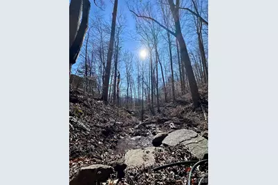 224 Riddle Road, Swannanoa, NC 28778 - Photo 14