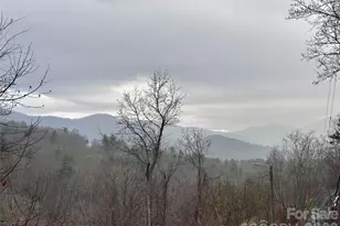 224 Riddle Rd, Swannanoa, NC 28778 - Photo 2