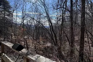 224 Riddle Rd, Swannanoa, NC 28778 - Photo 6