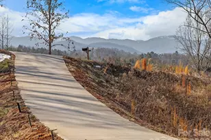 61 Sky Top View, Marshall, NC 28753 - Photo 2