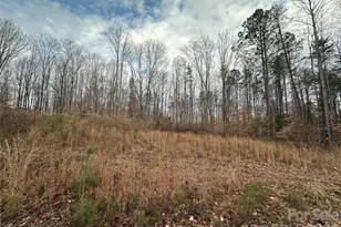 500 Hopewell Church Rd, Catawba, NC 28609 - Photo 1