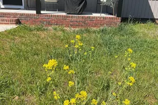 103 Falls St, Lawndale, NC 28090 - Photo 24