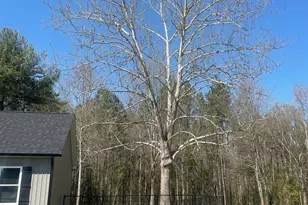 103 Falls St, Lawndale, NC 28090 - Photo 22
