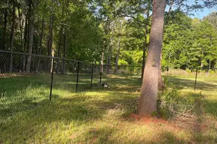 103 Falls St, Lawndale, NC 28090 - Photo 28