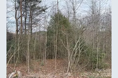 0 S Old Nc 18 Highway S, Connelly Springs, NC 28612 - Photo 4