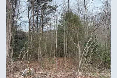 0 S Old Nc 18 Highway S, Connelly Springs, NC 28612 - Photo 2