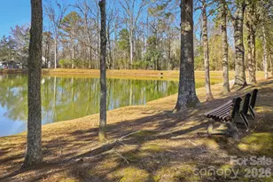 4529 Arabella Dr, Charlotte, NC 28273 - Photo 42