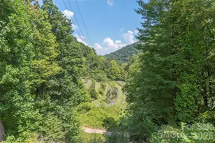 40 Shook Cv Rd, Leicester, NC 28748 - Photo 48