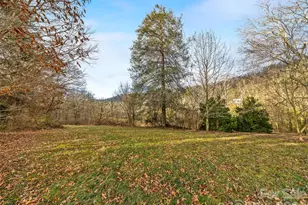 385 Chunns Cove Rd, Asheville, NC 28805 - Photo 4