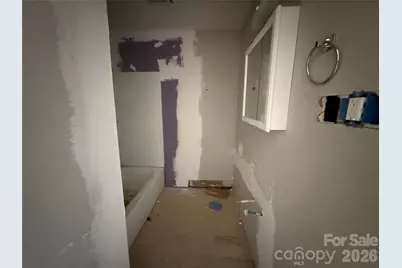 2427 Carmine Street, Charlotte, NC 28206 - Photo 32