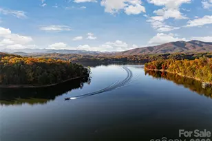 1341 Forest Lake Heights Dr, Nebo, NC 28761 - Photo 46