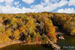 1341 Forest Lake Heights Dr, Nebo, NC 28761 - Photo 8