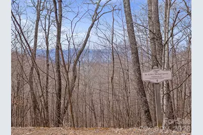 Lot 4 Heritage Ridge Loop, Burnsville, NC 28714 - Photo 2