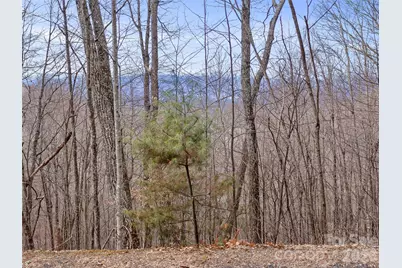 Lot 4 Heritage Ridge Loop, Burnsville, NC 28714 - Photo 4