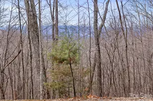 Lot 4 Heritage Ridge Loop, Burnsville, NC 28714 - Photo 4