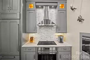 115 E Park Ave, Charlotte, NC 28203 - Photo 10