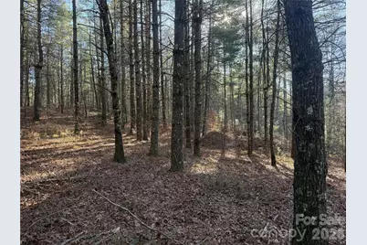 1291 Scenic Vista Drive #288, Nebo, NC 28761 - Photo 2