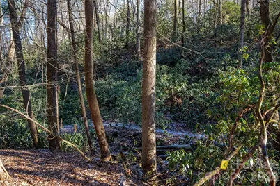 L11 Deerlake Road #11, Brevard, NC 28712 - Photo 14