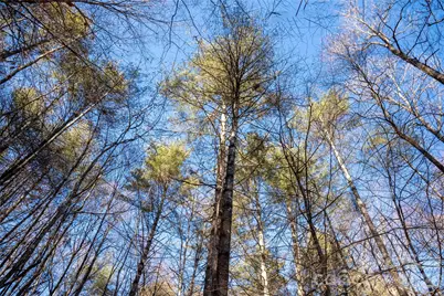 L11 Deerlake Road #11, Brevard, NC 28712 - Photo 2