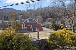 102 Llama Wy, Black Mountain, NC 28711 - Photo 28