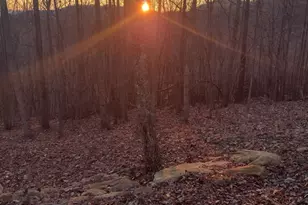 293 Dogwood Rd, Moravian Falls, NC 28654 - Photo 12