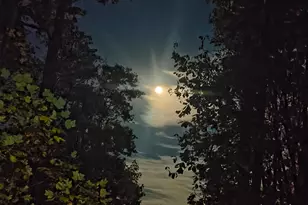 293 Dogwood Rd, Moravian Falls, NC 28654 - Photo 20