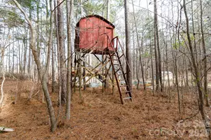 1939 Orrs Station Rd, Chester, SC 29706 - Photo 18