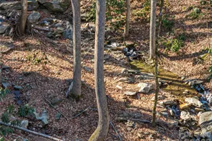 52 Treanors Pl, Maggie Valley, NC 28751 - Photo 30