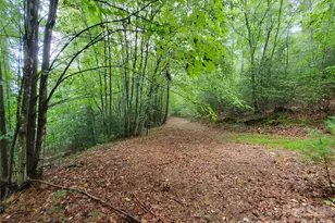 Tbd Taylorsville Rd, Granite Falls, NC 28645 - Photo 1