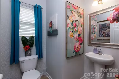 12848 Clydesdale Drive, Midland, NC 28107 - Photo 14