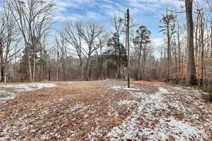 3344 Shiloh Church Rd, Davidson, NC 28036 - Photo 8