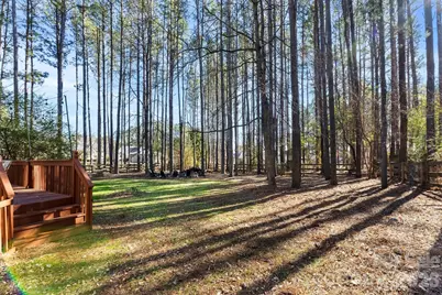 2381 Westerholt Court, Mount Pleasant, NC 28124 - Photo 40