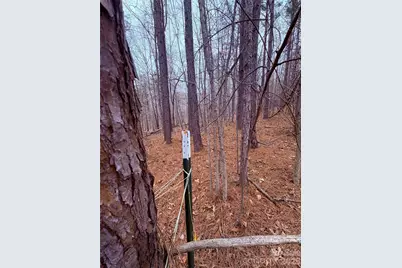 000 Vacant Nc 138 Highway, Norwood, NC 28128 - Photo 6