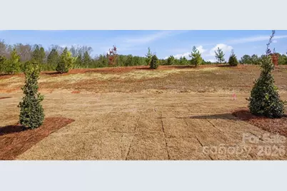 434 Blythe Townhome Lane, Waxhaw, NC 28173 - Photo 36