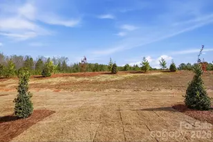 434 Blythe Townhome Ln, Waxhaw, NC 28173 - Photo 36