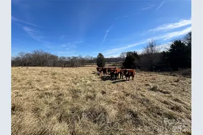 00 Davidson Court, Taylorsville, NC 28681 - Photo 30