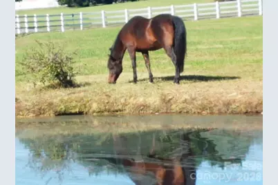 5432 E Highway 218 Highway, Monroe, NC 28110 - Photo 48