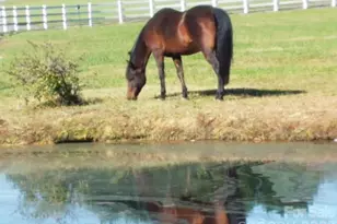 5432 E Hwy 218 Hwy, Monroe, NC 28110 - Photo 48