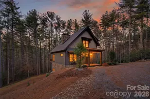 103 Big Game Dr, Nebo, NC 28761 - Photo 6