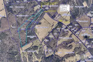 38 Ac Mountain Gap Rd, Richburg, SC 29729 - Photo 1