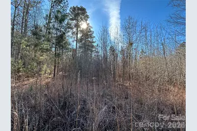 38 Ac Mountain Gap Road, Richburg, SC 29729 - Photo 4