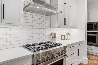 2052 Thatcher Way, Fort Mill, SC 29715 - Photo 10