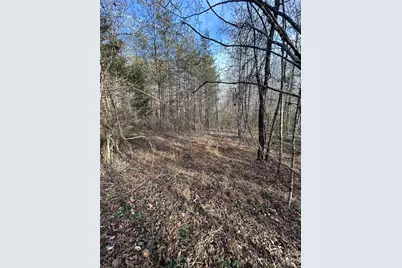 147 Double Eagle Drive #23, Nebo, NC 28761 - Photo 36